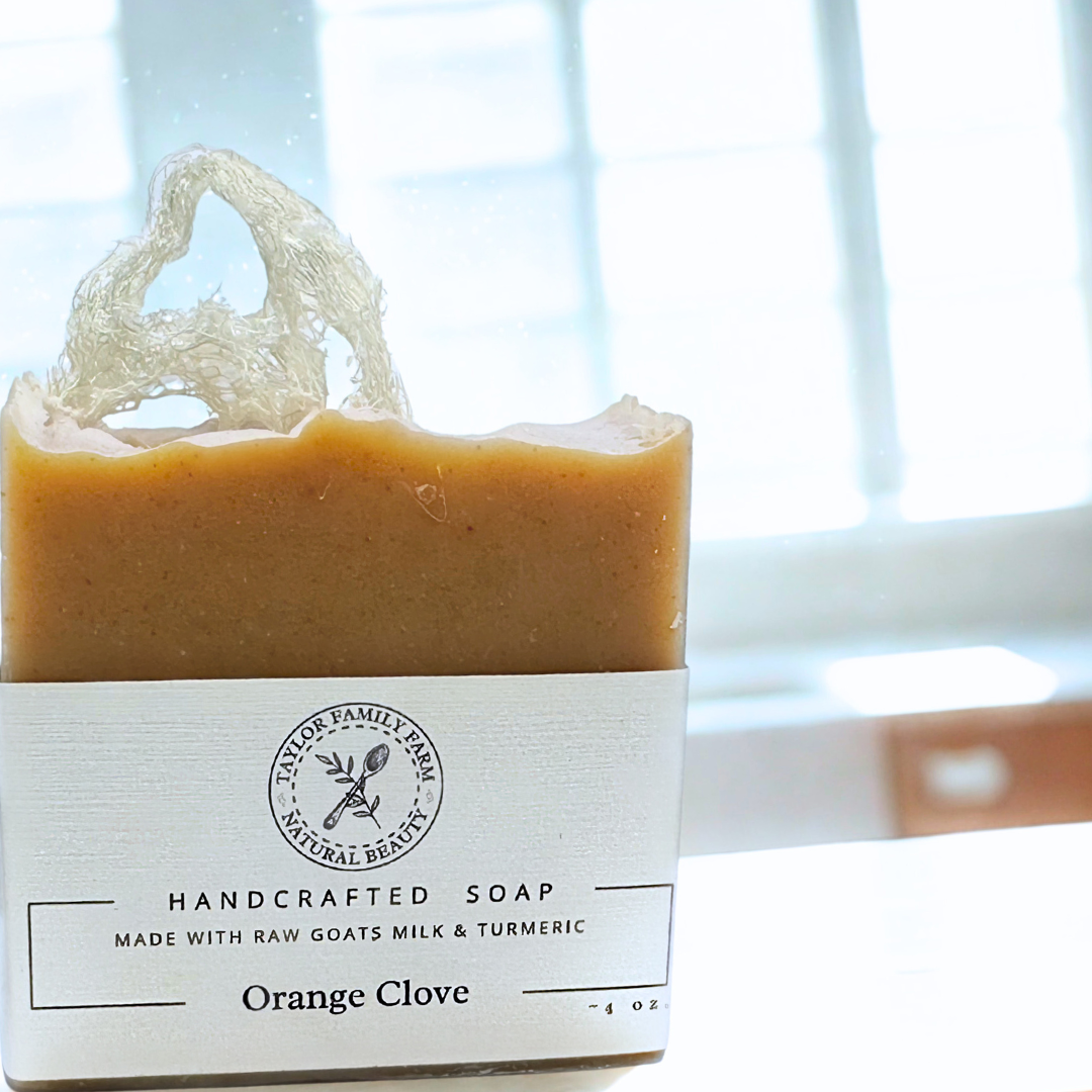 Orange Clove Bar Soap