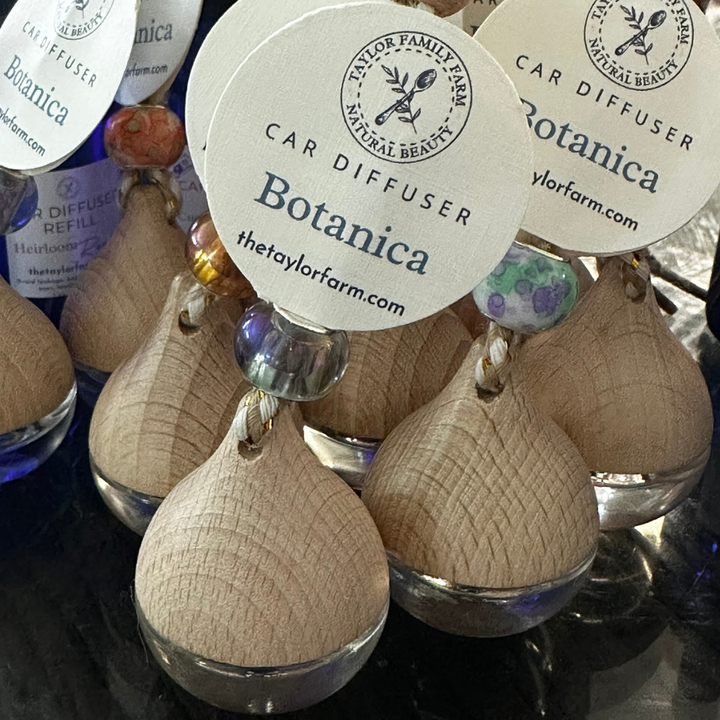 Clean Scent Car Diffuser