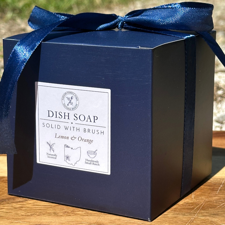 Solid Dish Soap Starter Set