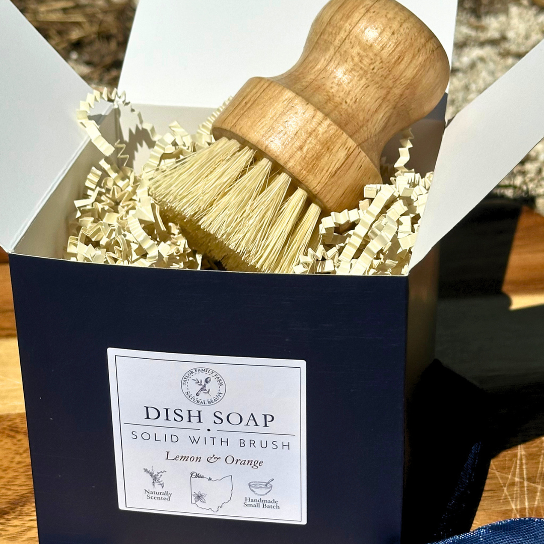 Solid Dish Soap Starter Set