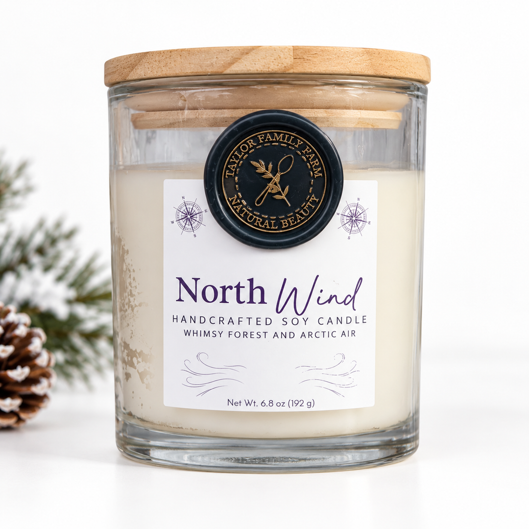 North Wind Soy Candle