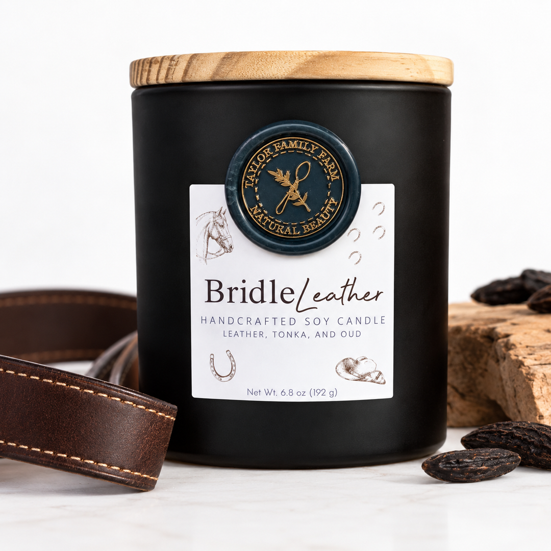 Bridle Leather Soy Candle